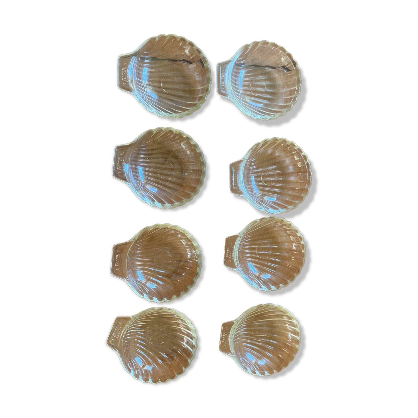 Pyrex scallop shell set