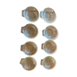 Pyrex scallop shell set
