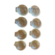 Pyrex scallop shell set