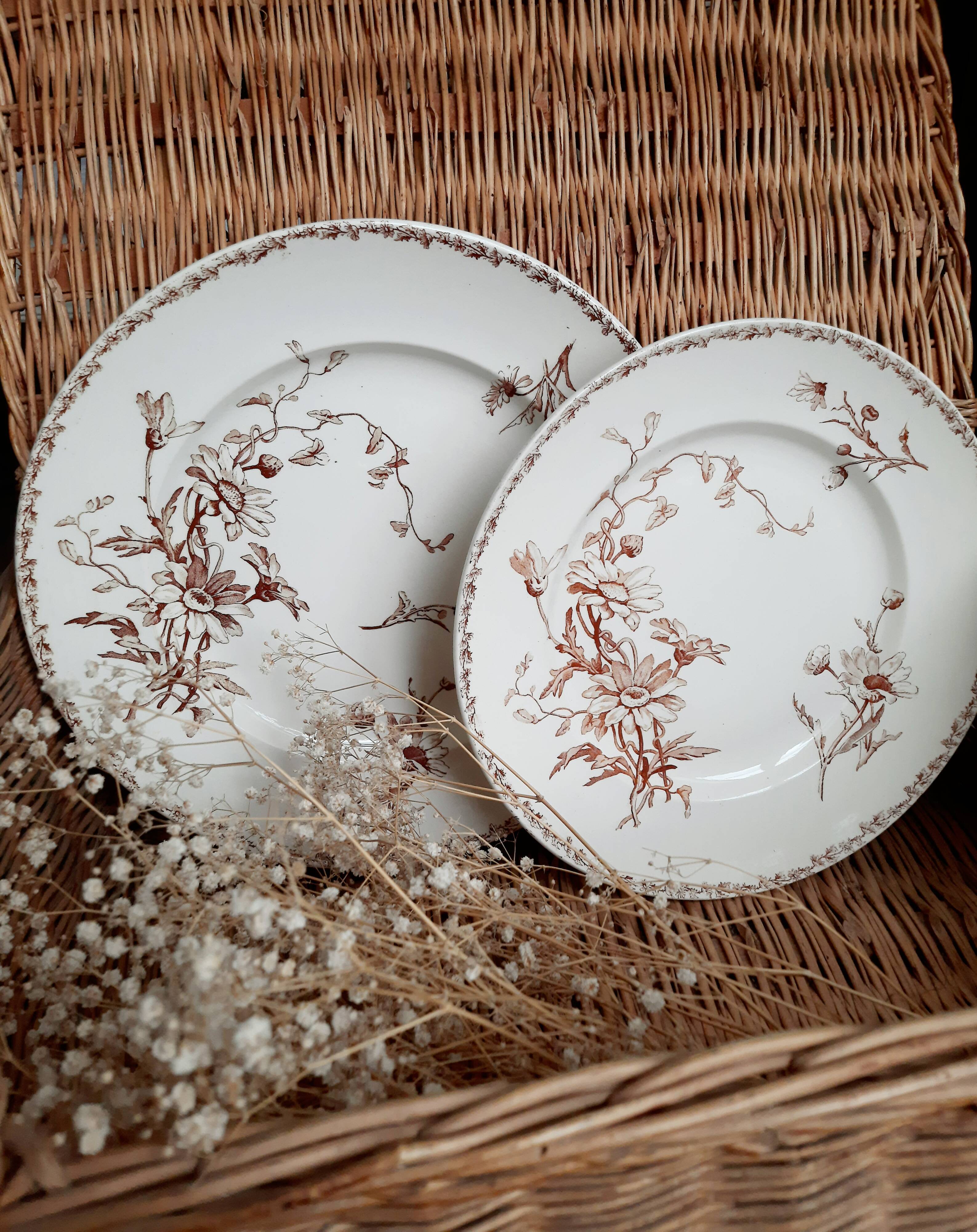 2 main courses Lunéville