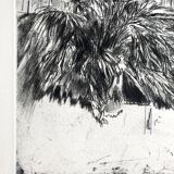 Nicole Bouharmont, Serres et jardin des plantes. pointe sèche signée au crayon