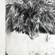 Nicole BOUHARMONT, Greenhouses and Botanical Gardens. Drypoint signed in chalk