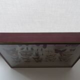 Ancient butterflies and stuffed insects under frame 1930s