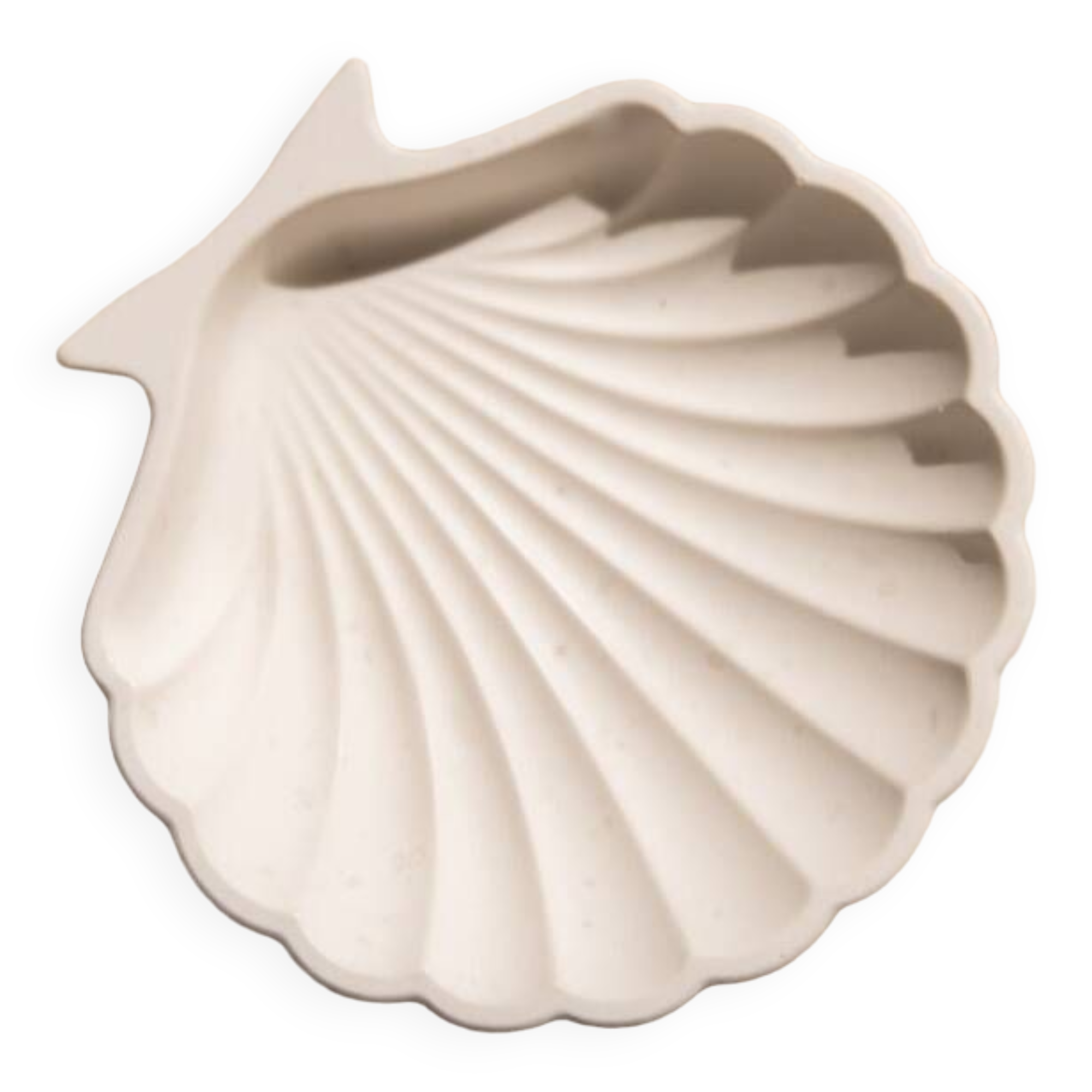 Empty pocket in shell-shaped jesmonite