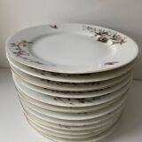 12 vintage porcelain dessert plates signed hache, julien & cie birds