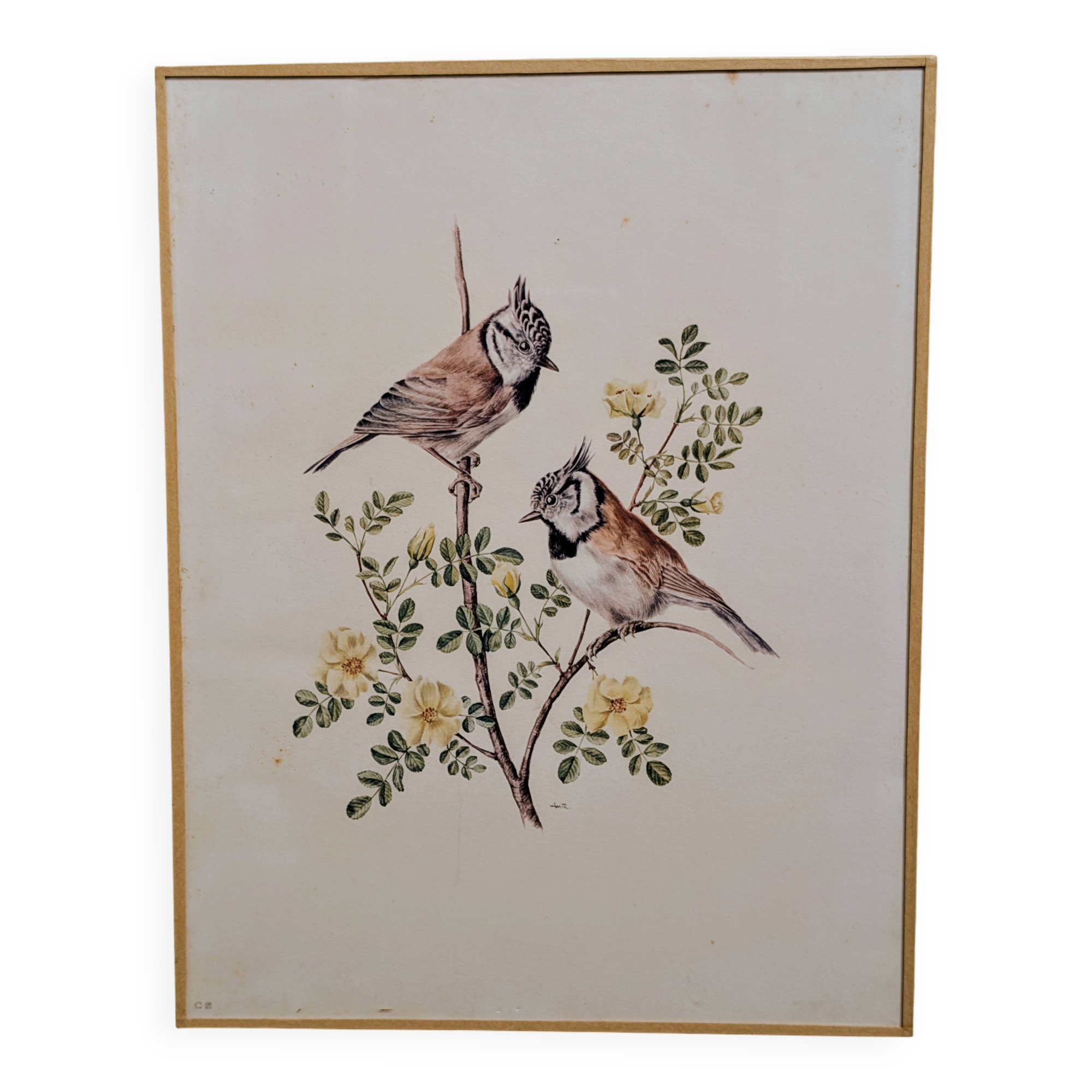 Ornithological board