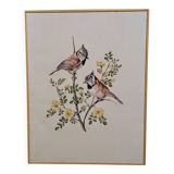 Planche ornithologique