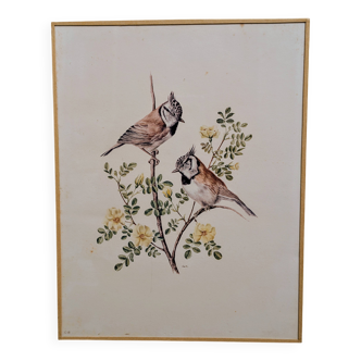 Ornithological board