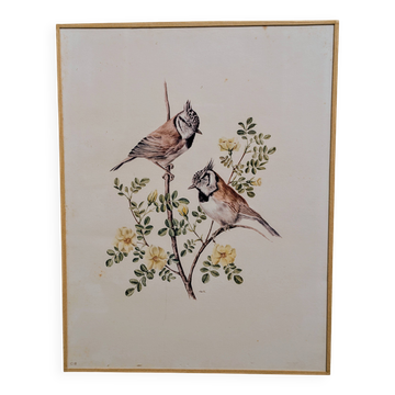 Ornithological plate