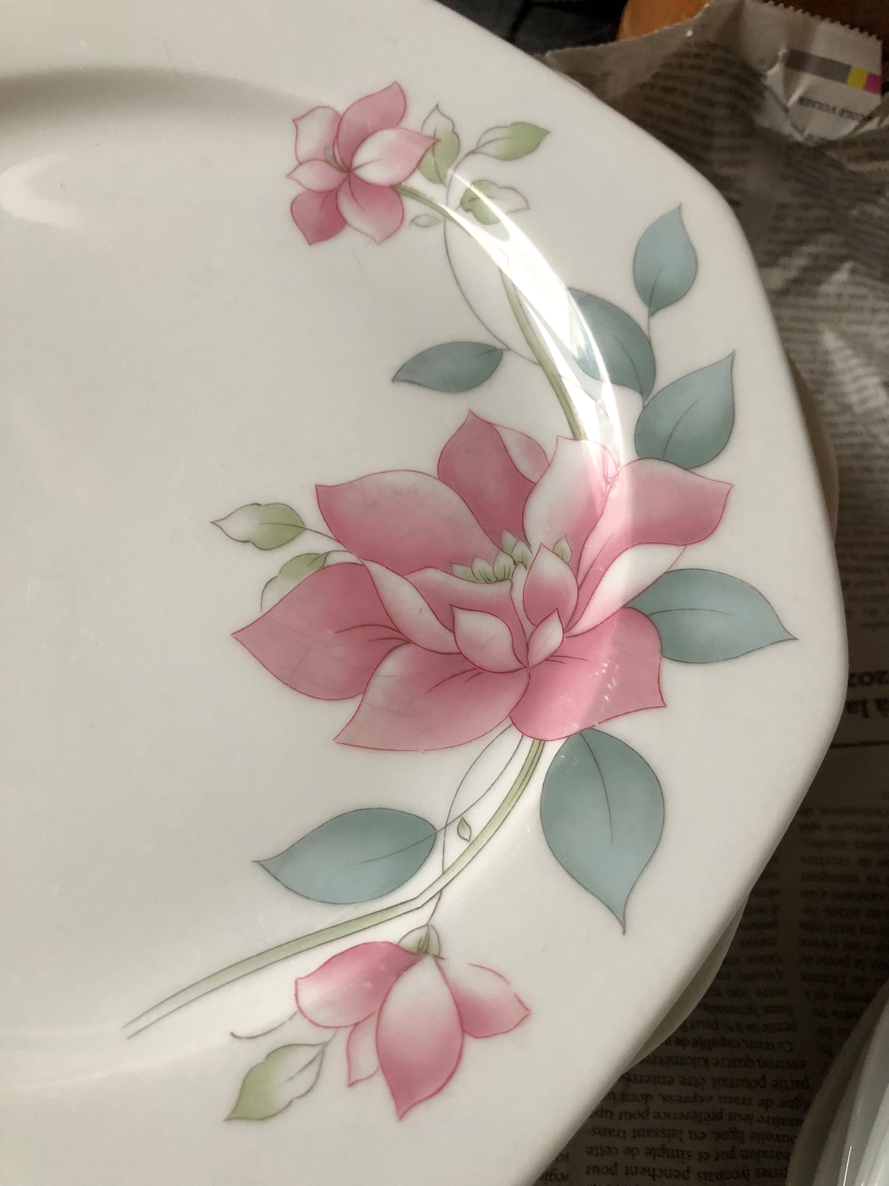 Porcelain plate service
