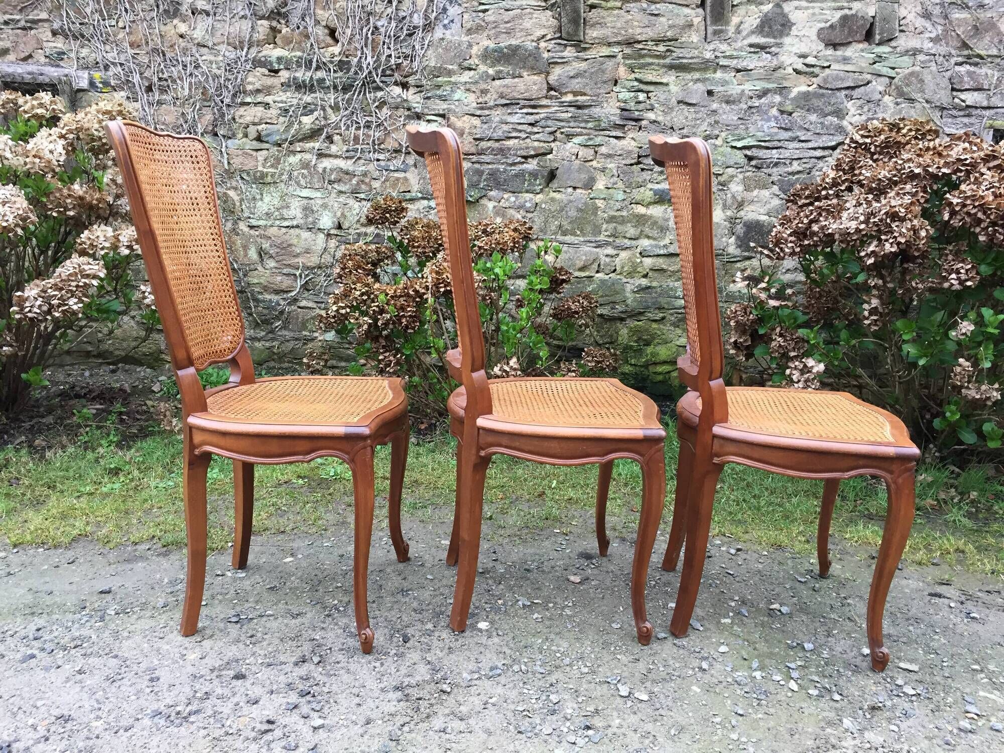 Vintage regency cherry chairs with canned backrests and seats
