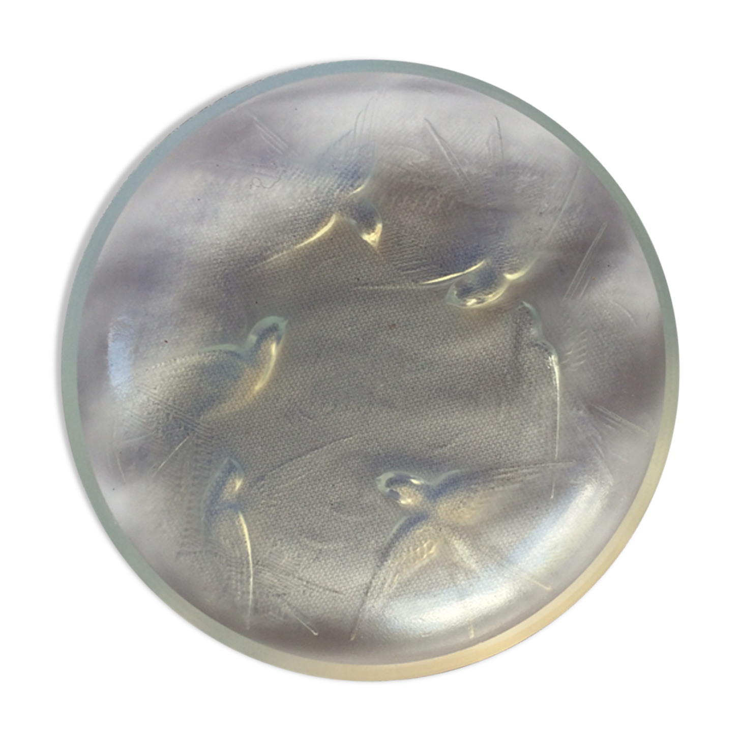 Cup signed Crystal Sabino, France, decor birds.