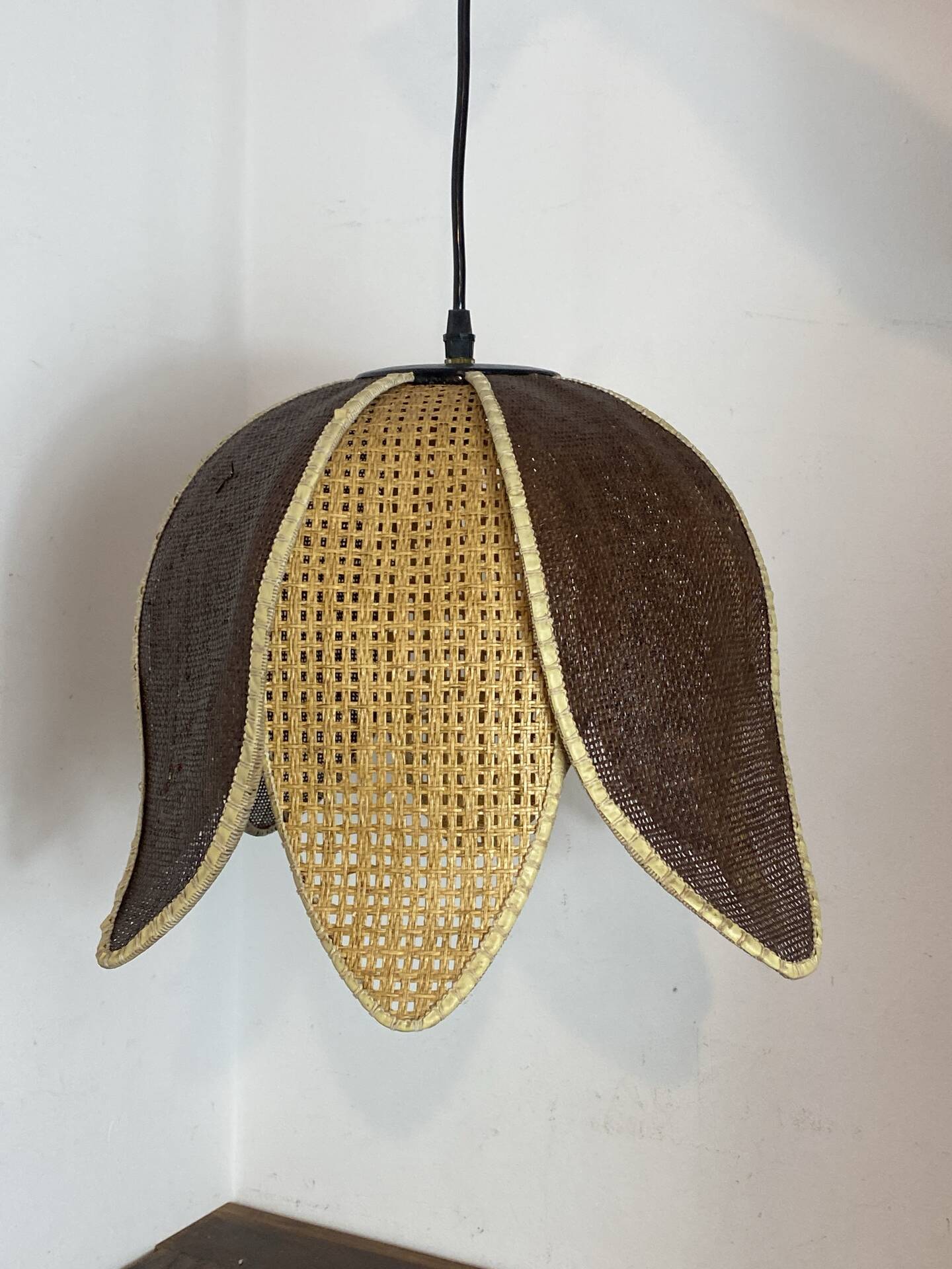 Organic rattan suspension
