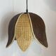 Organic rattan suspension