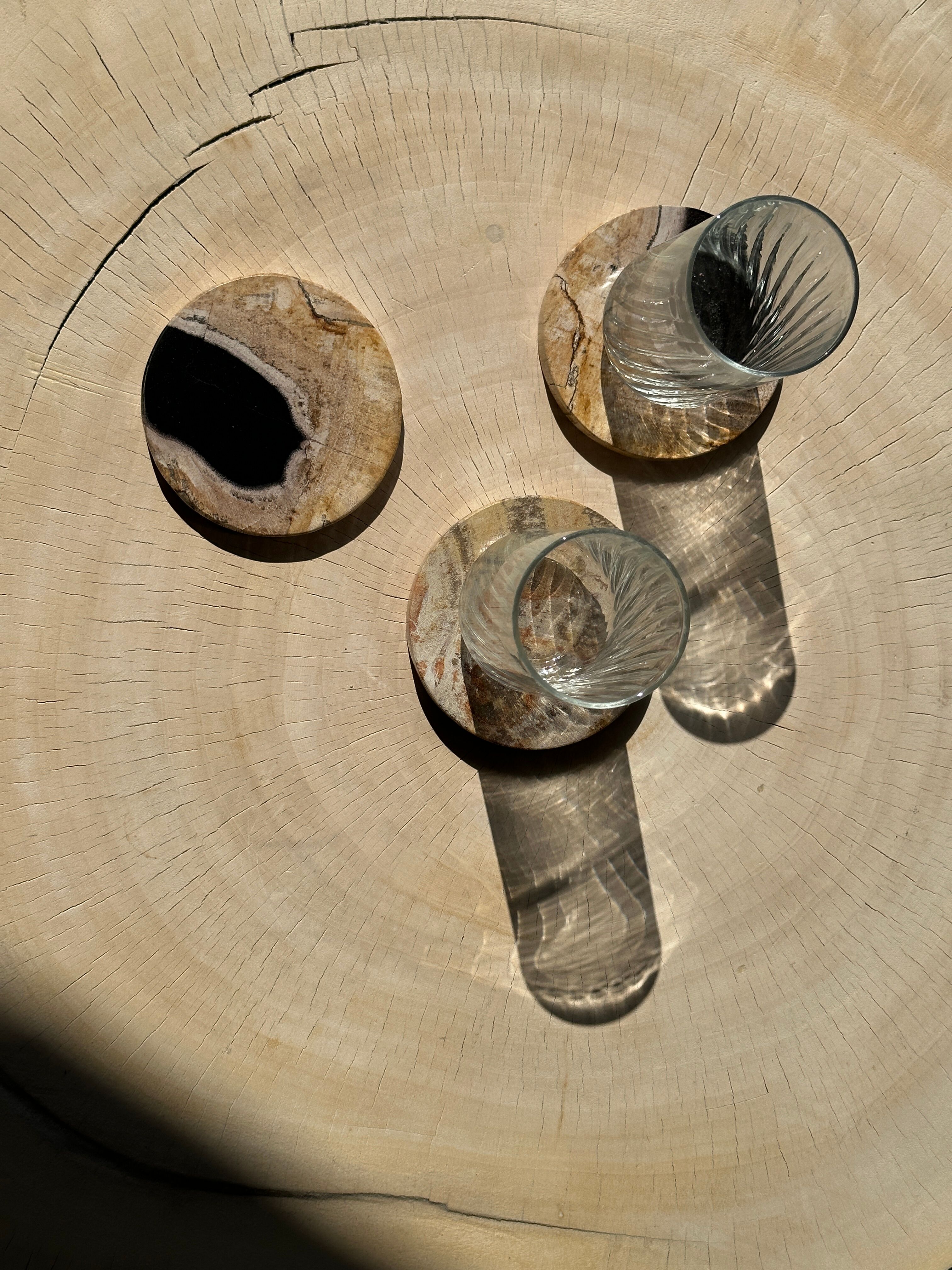 Set of 3 fossilized wooden coasters (clear)
