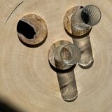 Set of 3 fossilized wooden coasters (clear)