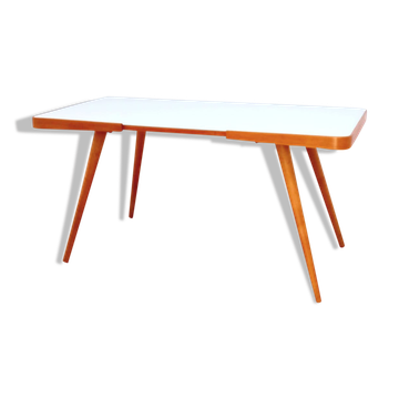 Coffe Table Jiri Jiroutek, Czechoslowakia 1960