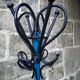 Painted parrot coats door
