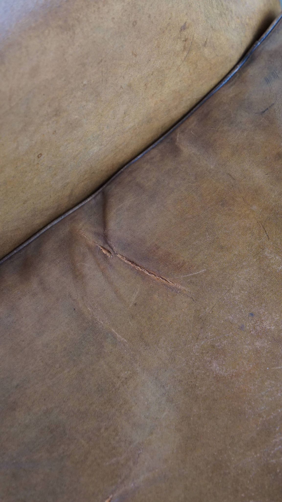 Patinated sheep leather wingback armchair