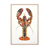 "Alec", the lobster, art print 21/29.7 cm
