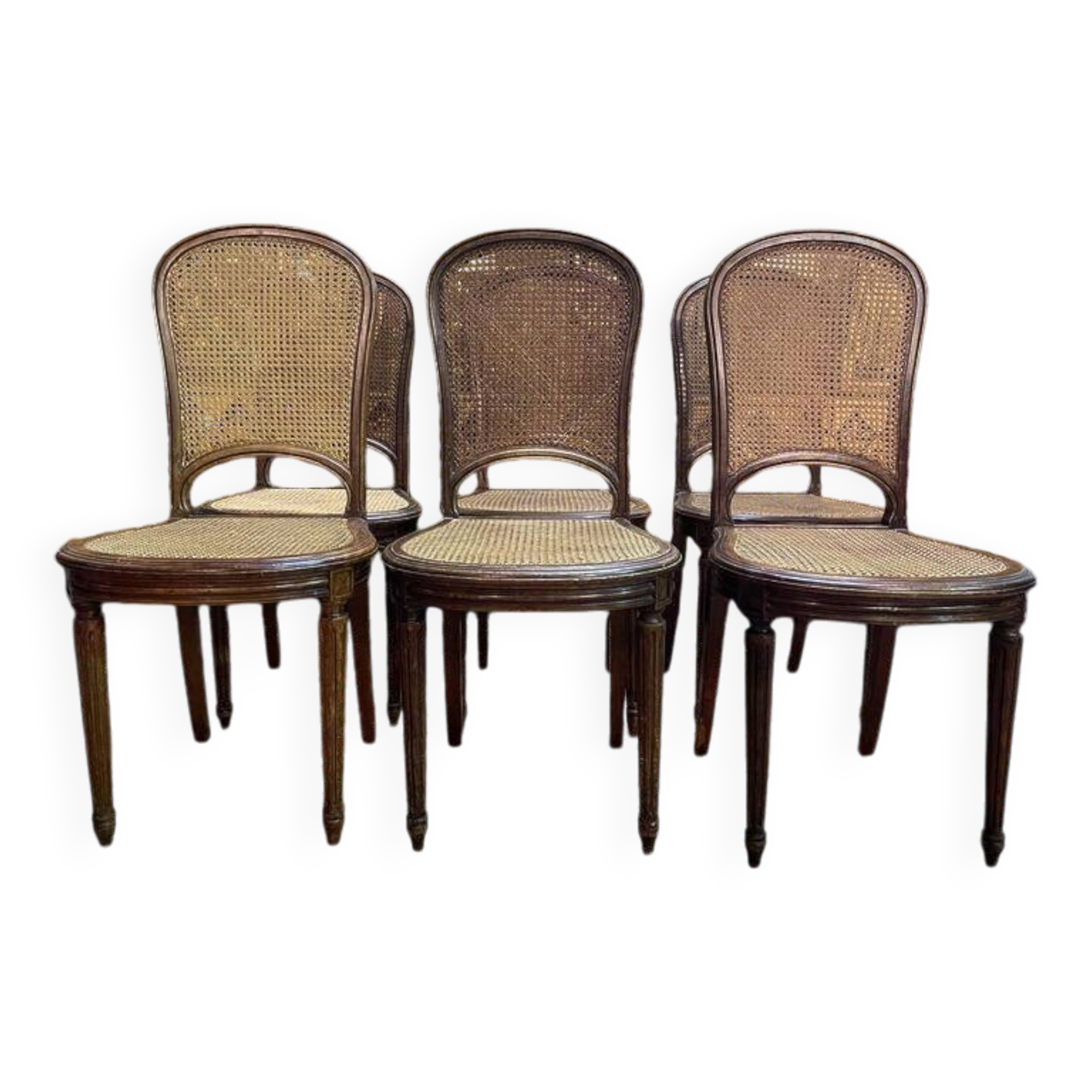 Set of 6 Louis XVI style chairs in cane - Caned