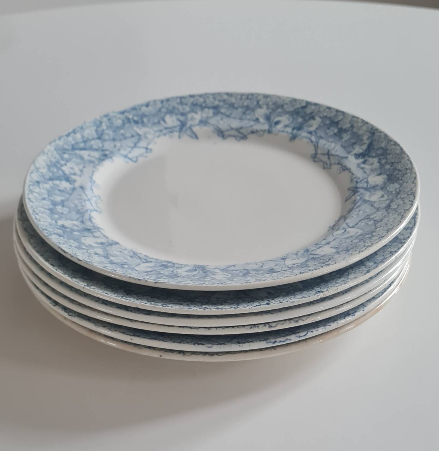 Set of 6 iron earthenware plates