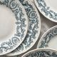 12 flat ironware plates “Louis XVI” Saint Amand and Hamage
