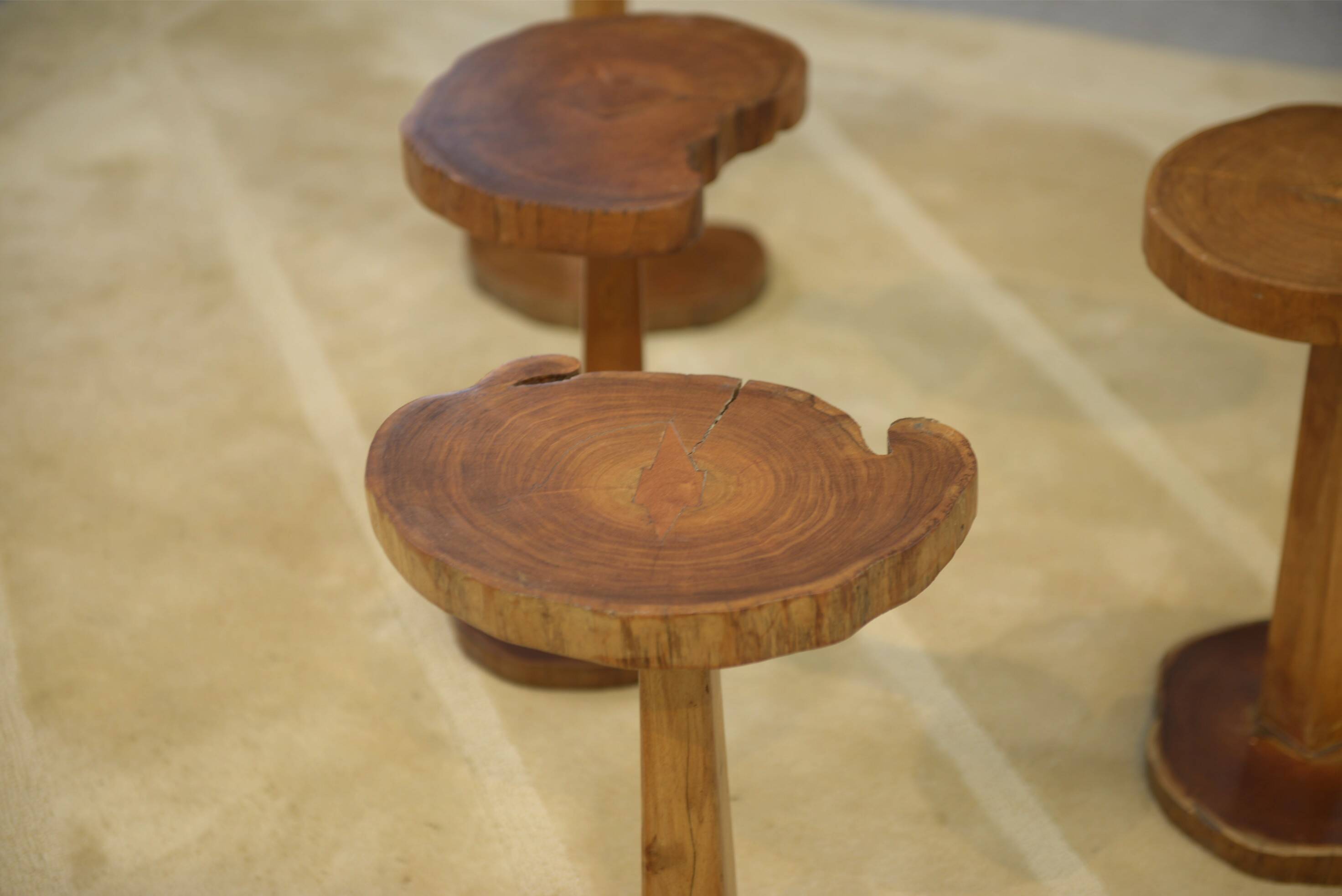 Ensemble de 5 tables d’appoint brutalistes en palissandre 1960’s