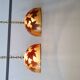 Italian design hanging lamps resin and leaves, 1970s 1980s