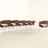 Set of six Oxford chairs by Martin Grierson for Arflex, 1963