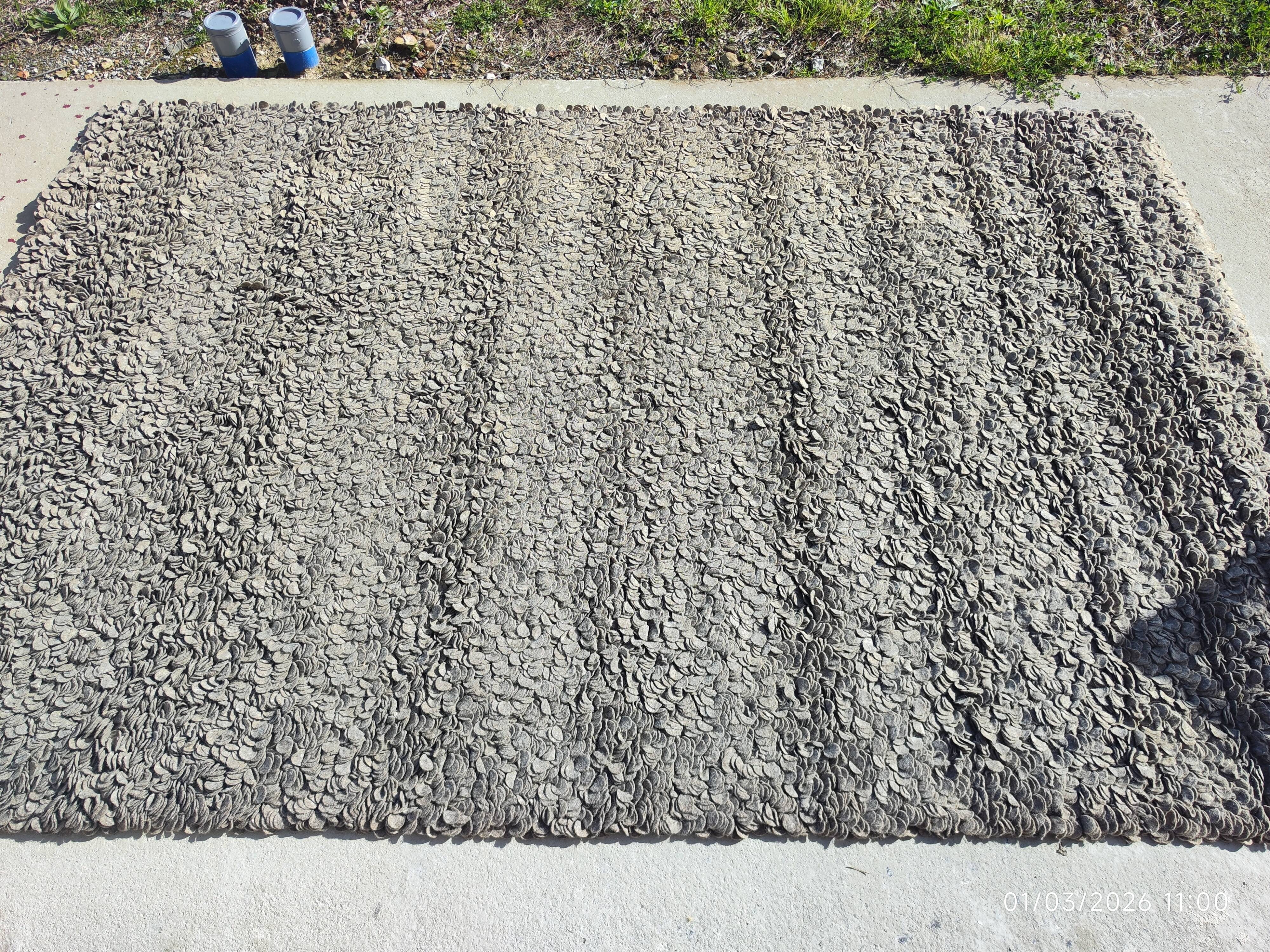 Rug in the style of a designer.