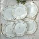 6 flat plates porcelain Limoges golden white