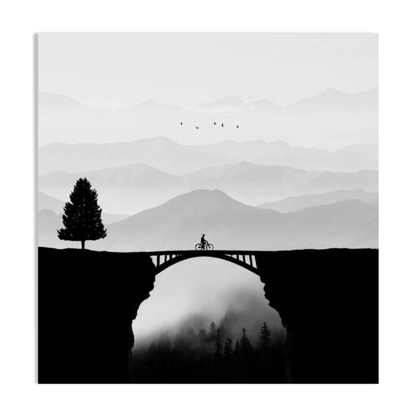 Photo paysage