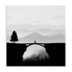 Photo paysage