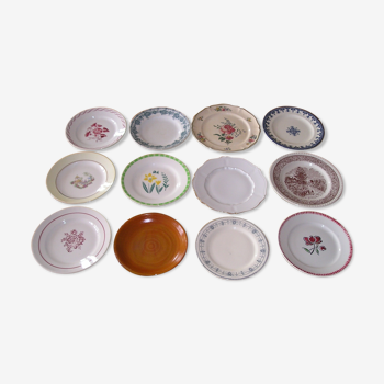 Lot de 12 assiettes plates différentes