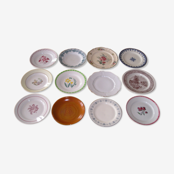 Set of 12 different flat plates