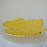 Trinket plate plane tree leaf