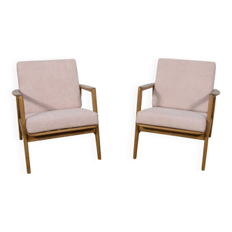 Mid-Century Model 300-139 Armchairs from Swarzędzka Factory, 1960s, Set of 2