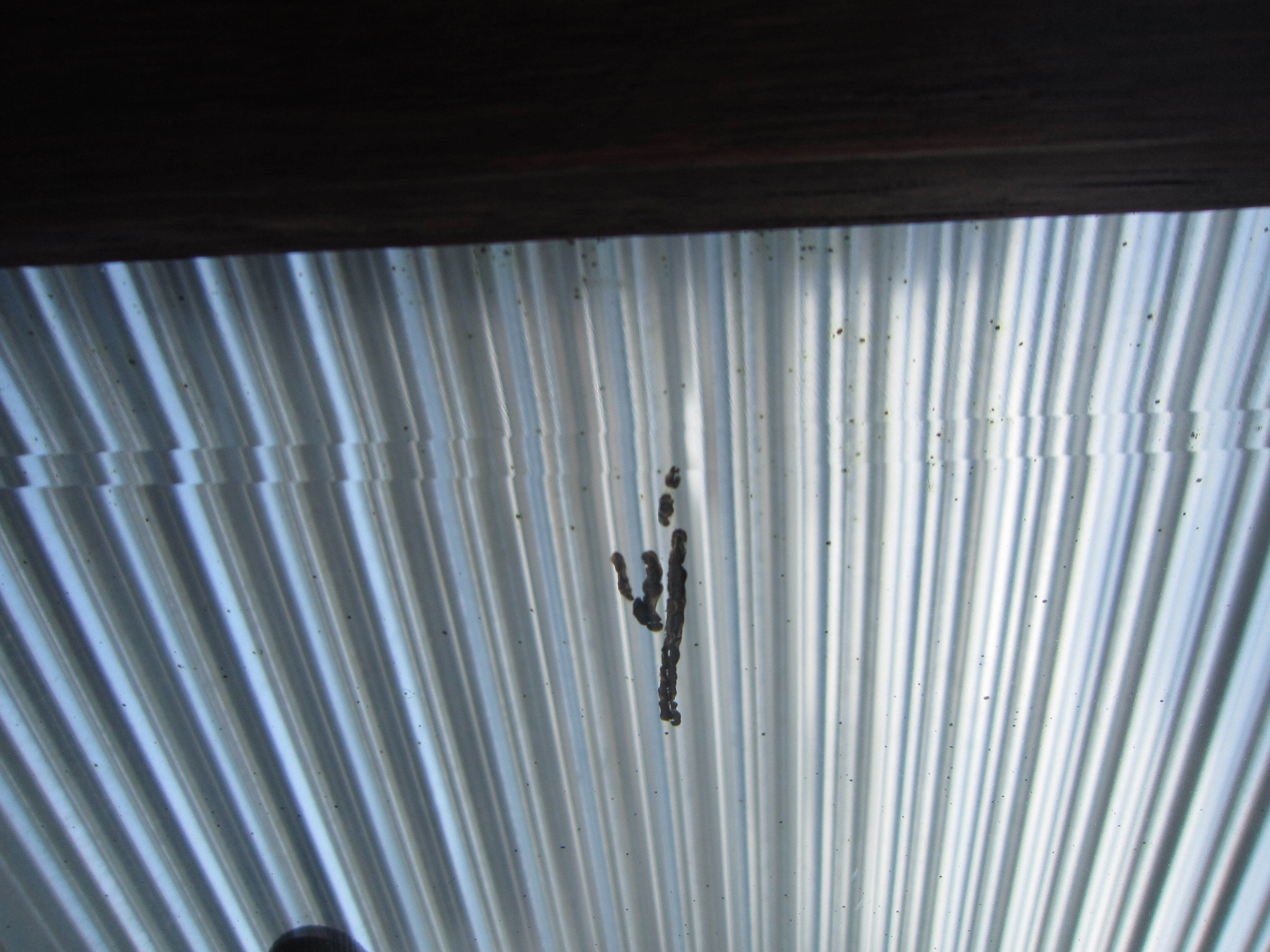 Vestiaire wears hat coat and art deco umbrella in wrought iron patere wood