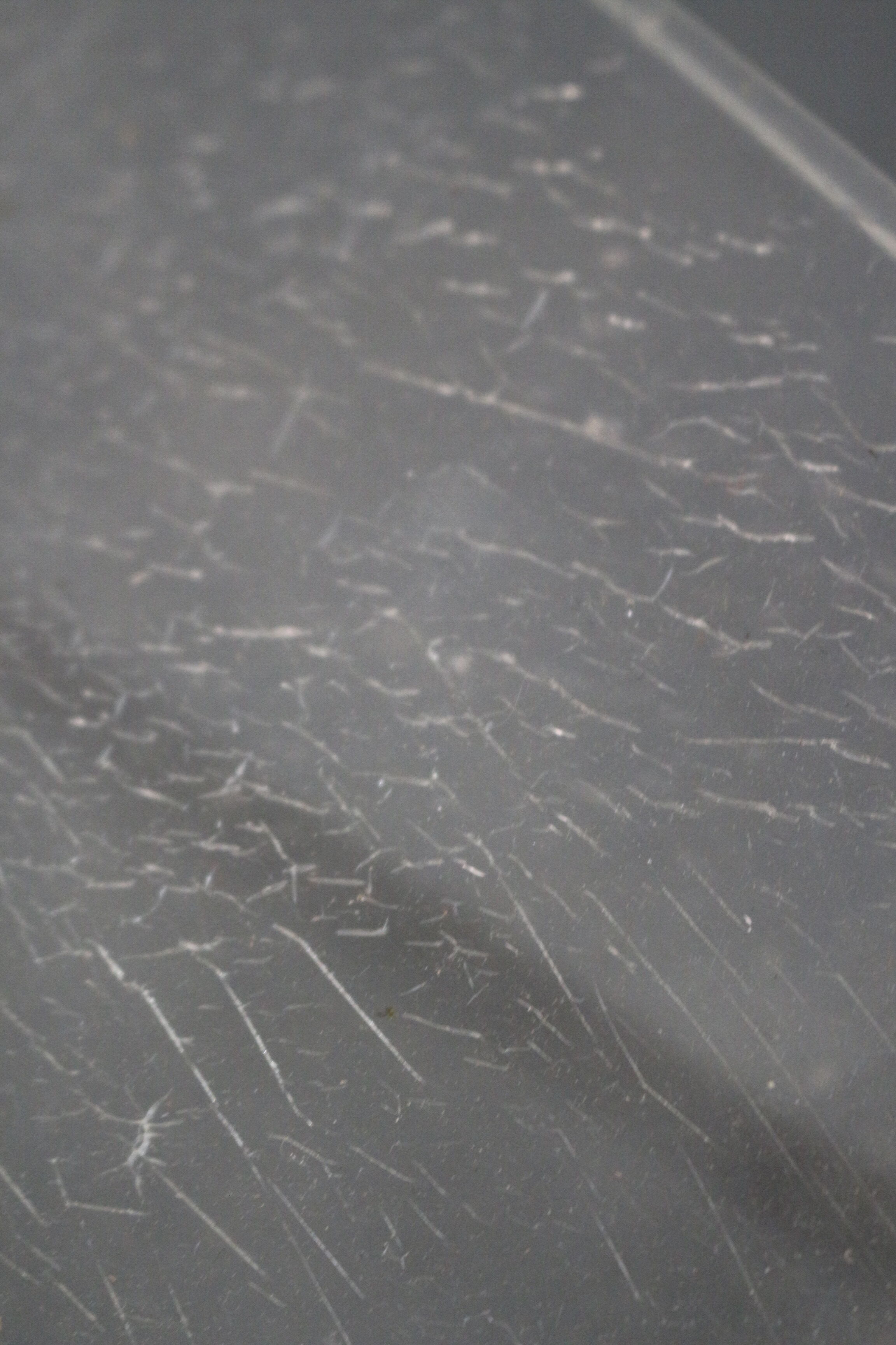 Michel Dumas sculptural chairs 1970