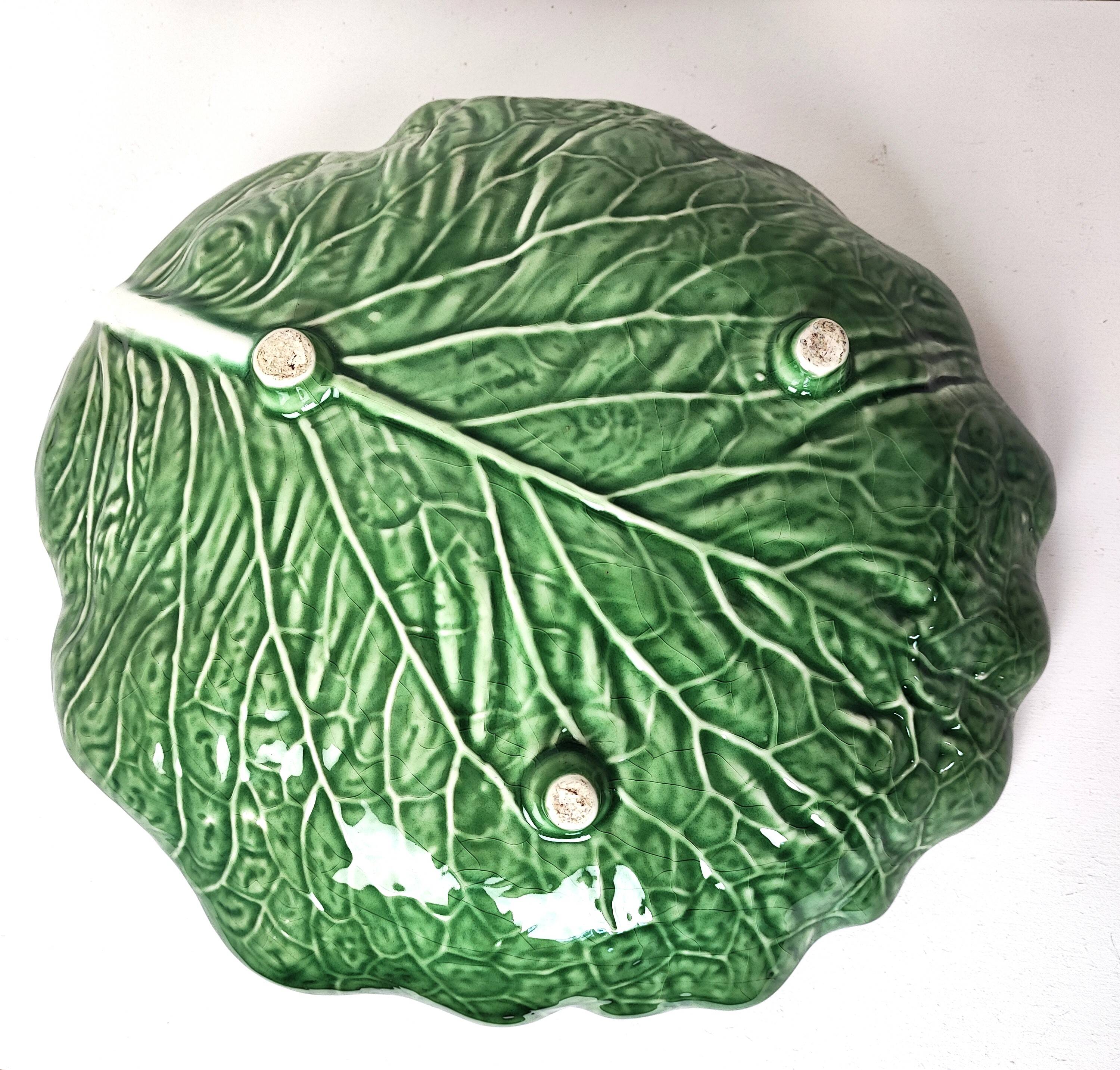 Cabbage leaf dish