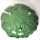 Cabbage leaf dish