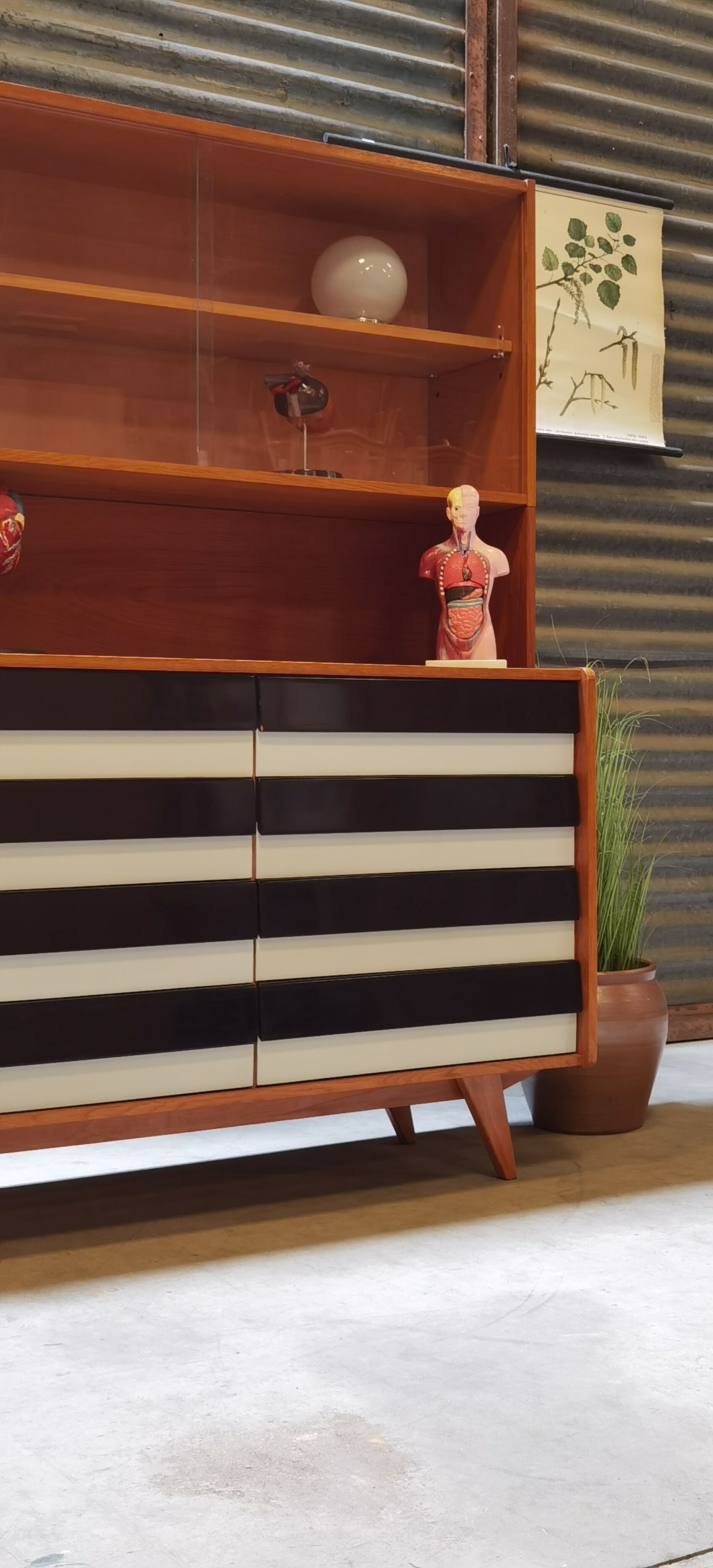 Library U 453 by Jiri Jiroutek for Interior Praha Foot Compass 1960