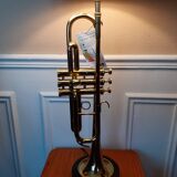 Lampe trompette