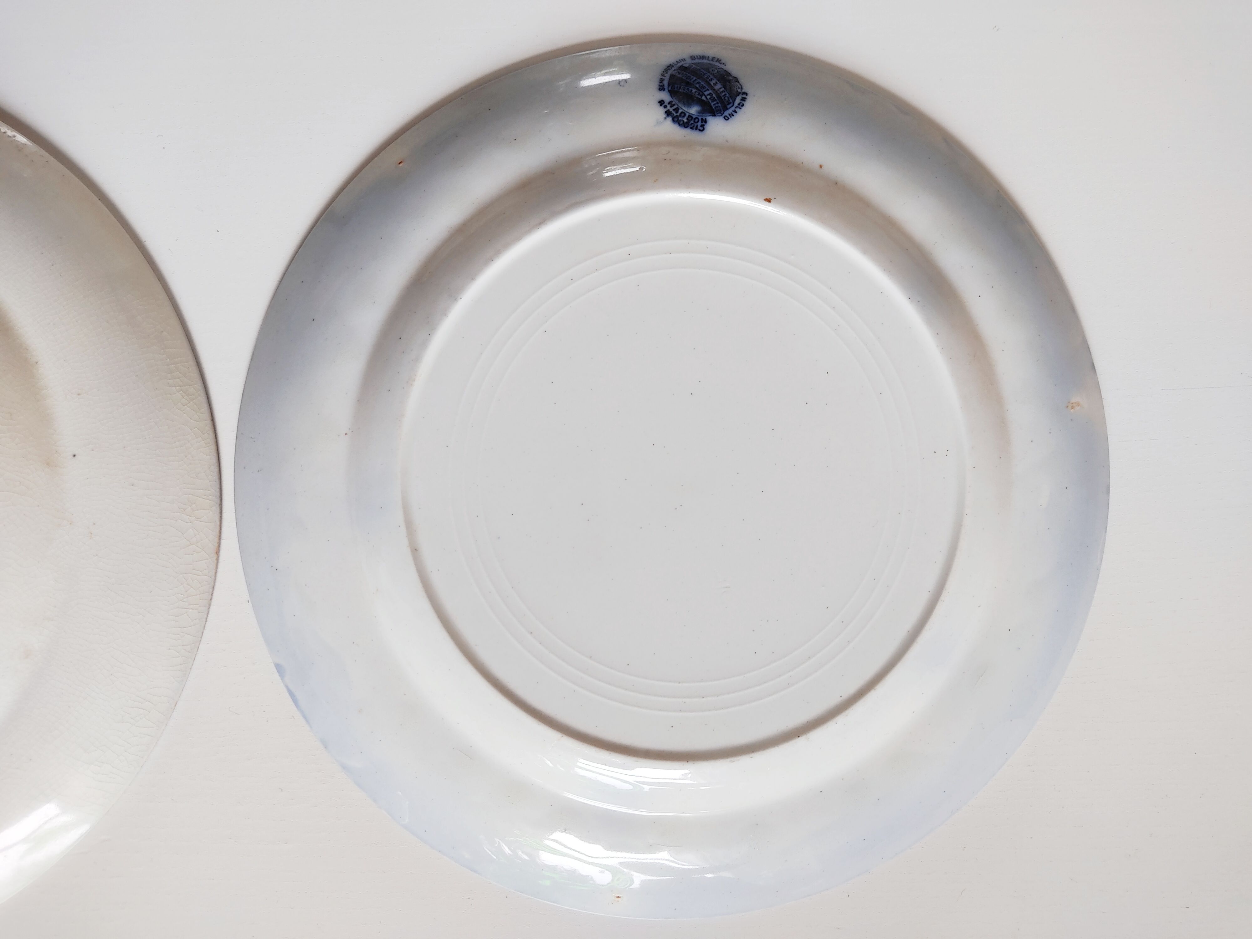 Paire d'assiettes anglaises décor bleu