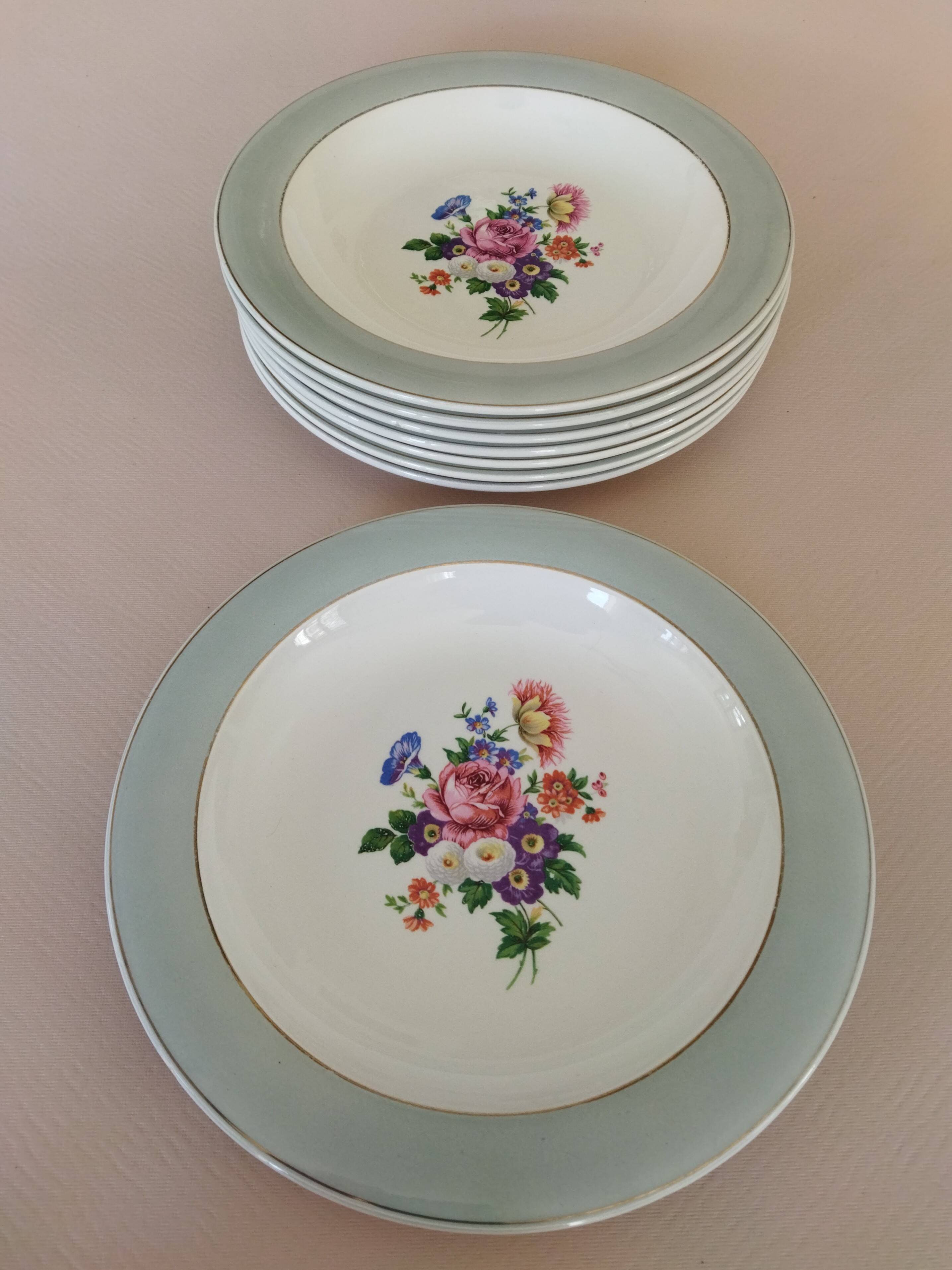 8 semi-deep plates Salins Opaceline 702