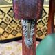 Office armchair empire style / louis XVI