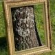 Frame carved wood and gilded stucco