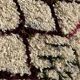 Petit tapis berbere azilal