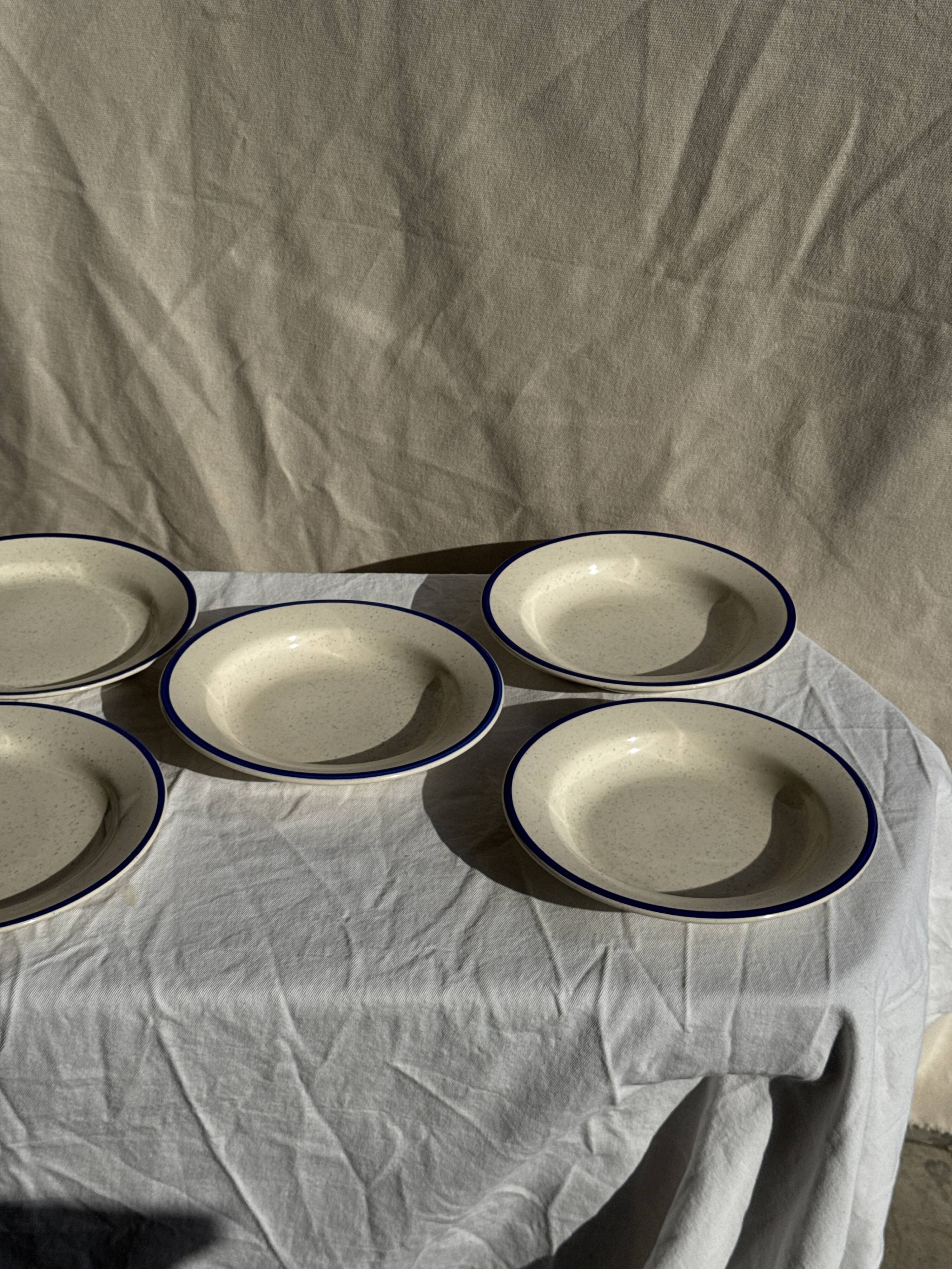 Set consisting of 6 beige flat plates with a blue rim + 3 deep plates.